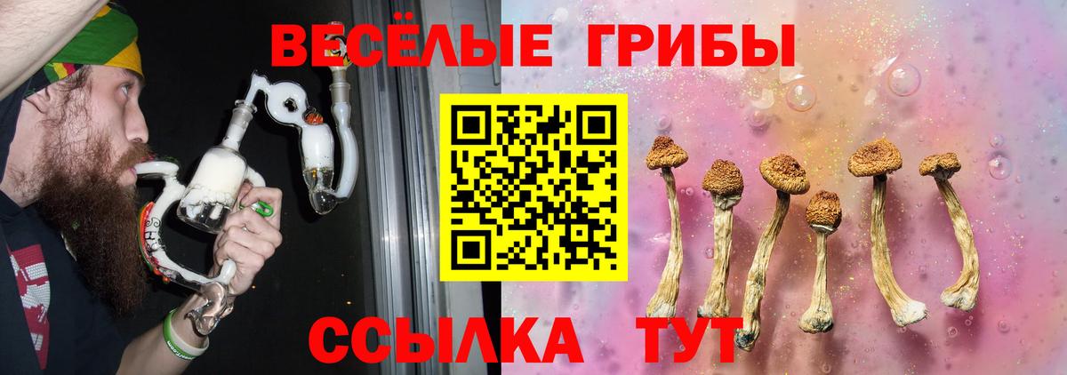 Гурьевск  Псилоцибиновые грибы Cubensis  дарнет шоп  Вход с VPN 